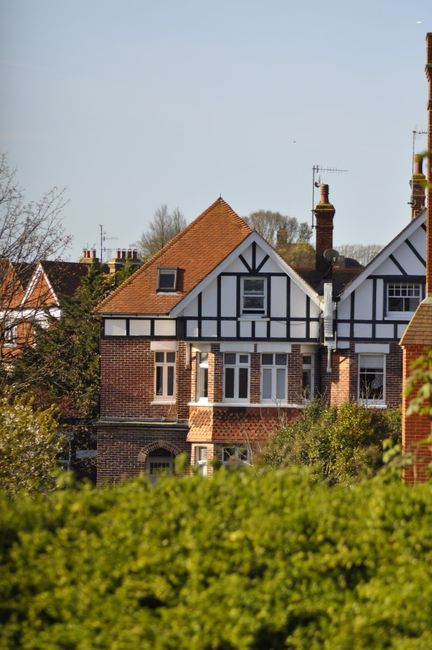 A row of traditional brick houses with white-framed windows and pitched roofs, located on a residential street during daylight. The houses are surrounded by greenery and flowering bushes in the foregr
